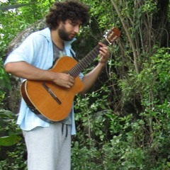 Forró Brasil [pedrão do violão interpreta Hermeto]