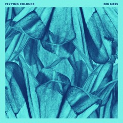 Flyying Colours - Big Mess