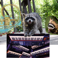 JIG noodles  ft casio, zoom h1 & zoom h4 (at different angle)
