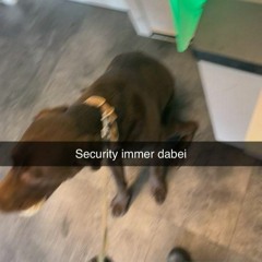 lass sie doch in Ruhe