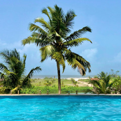 Nebulae Waves & Moryla & Plage Noir - Poolside