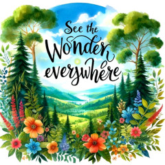 See The Wonder