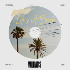 Lifes A Beach Vol 3