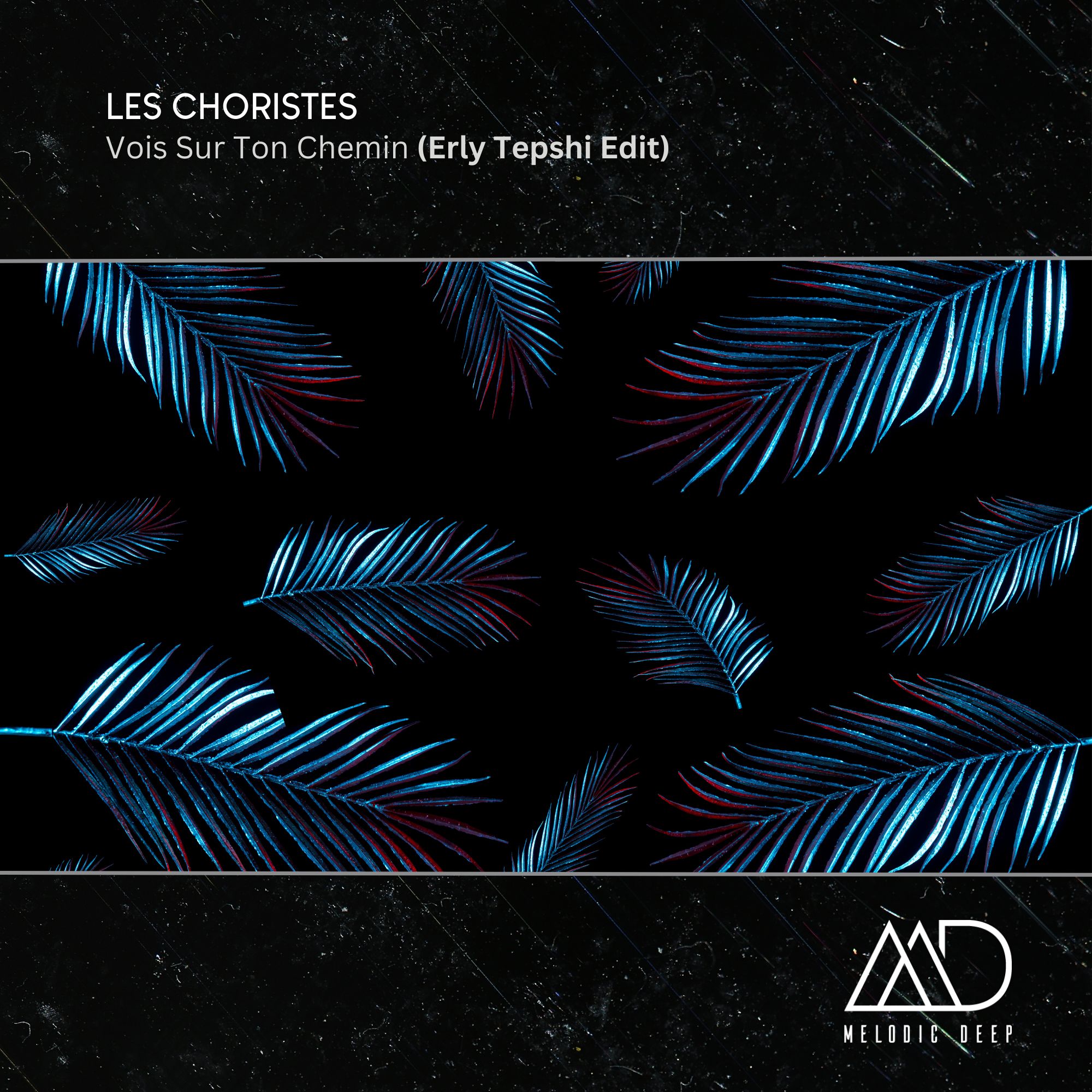 FREE DOWNLOAD: Les Choristes – Vois Sur Ton Chemin (Erly Tepshi Edit)