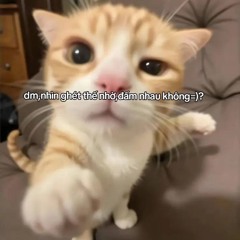 Một Đời x Cưới Đi Remix ( 14 Casper - Bon Nghiêm - feat buitruonglinh ) NVT Remix