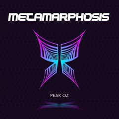 SEPT 2020 FUNKY HOUSE WINNER: Metamarphosis - Peak Oz