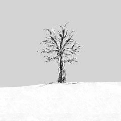 It’s Okay To Be Sad at Christmas