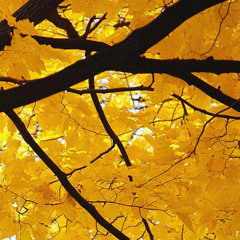 November Piano (Royalty Free Smooth Jazz)