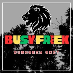 Dub Heezy (Edit) Get Busy X Freek a Leek