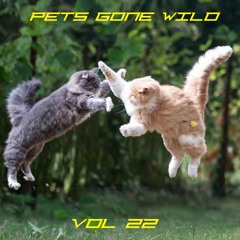 Pets Gone Wild Vol.22