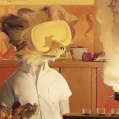 Mr. Fox in the Fields