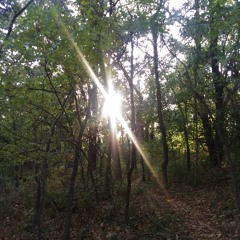 Glass Pillers ~ Cory Foringer