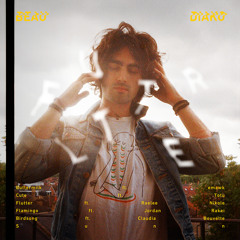 Flamingo (feat. Jordan Rakei)