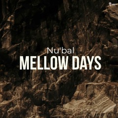 Mellow Days (original mix)