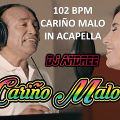 102 - Cariño Malo - Agua Marina & Julie Freund IN ACAPELLA [[ DJ ANDREE ]] 16 Beats