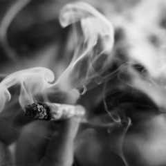 quap - swisher roach (original mix)