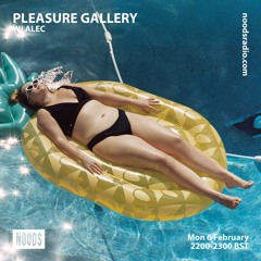 pleasure gallery w/ alec - noods radio - february 2023
