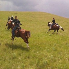 خلينا نعيش... ميرا حبش