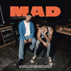 Martin Garrix & Lauv - MAD (wadnesday Remix)