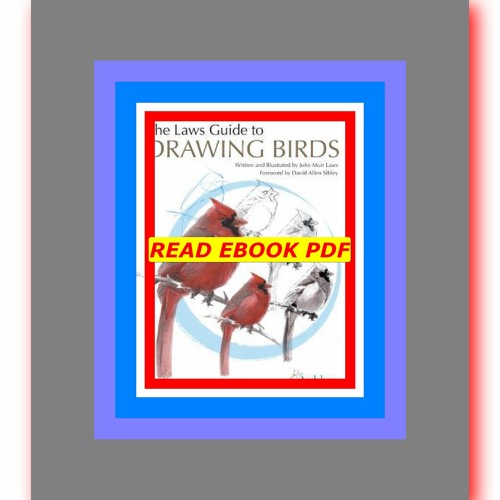 Speed Drawing Birds • John Muir Laws