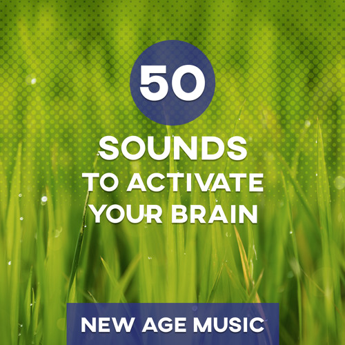 Concentration Music to Study (Crystal Pad Solo & Freezing Rain)