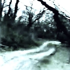 Teeth150 (look description)