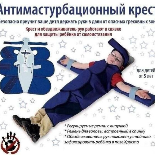 кошка на баре