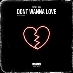 Don't Wanna Love (No Label Remix)