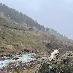 Travis, thanks for the Dale’s