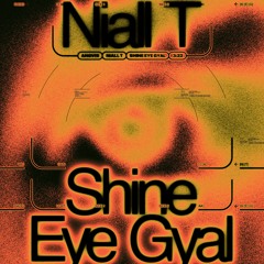 Niall T - Shine Eye Gyal