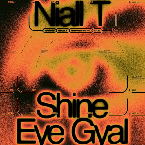 Niall T - Shine Eye Gyal