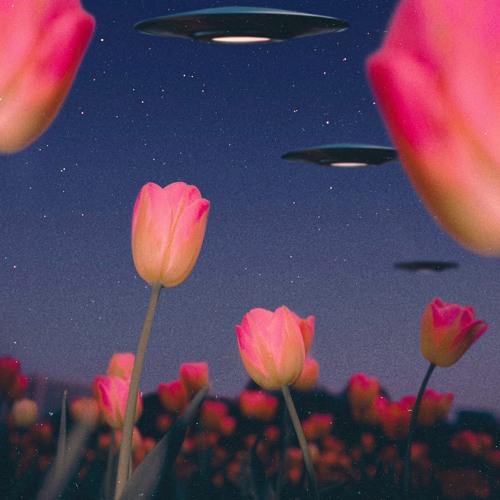 Nonstop - Take Me To Miami - HPBD Pi TIENG DAT