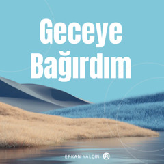 Geceye Bağırdım