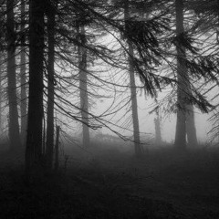 Cast Member Haunt Event 2022 -  Opening Moment