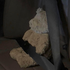 gia nhu anh co yeu em nhieu hon nua..