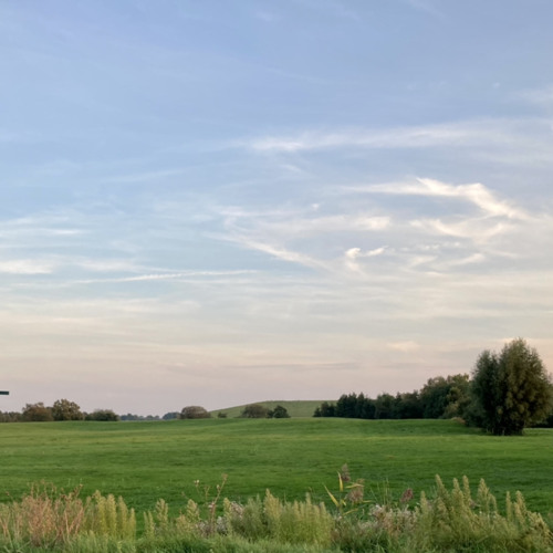 Stream Osterkorb by Schaukelix | Listen online for free on SoundCloud