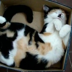 HI-POSI  僕でありたい