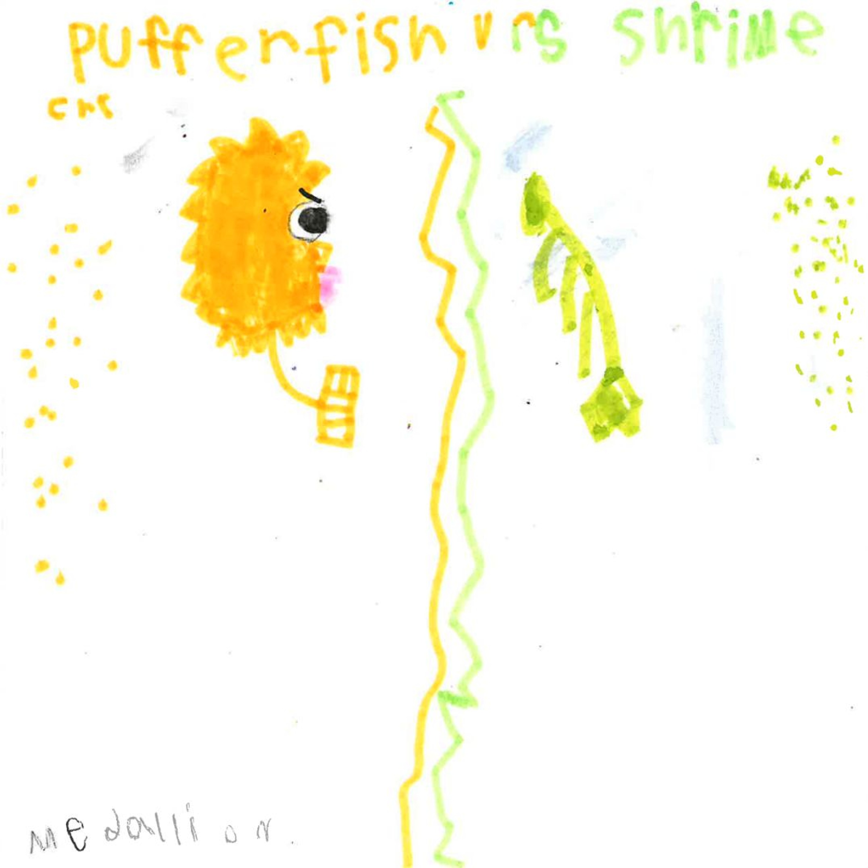 Pufferfish vs Shrimp by Medallion episode artwork