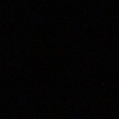 Shake it to de max - tino