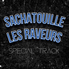 Sachatouille - Les Raveurs