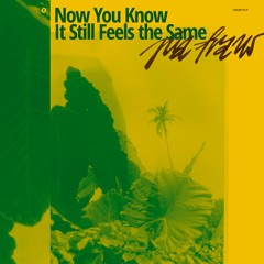 SEKs077 Pia Fraus "Now You Know, It Still Feels the Same" - "Deep Purple Girl" (2021)
