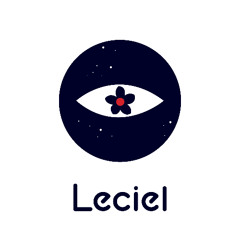 Stromae, Pomme - Ma meilleure ennemie (cover)