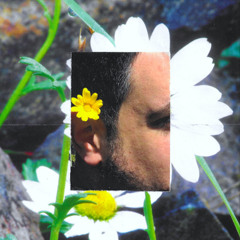 Cobra Spiritual - Anthos