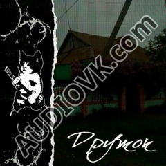 Дружок-AMIRICLUB