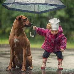 Compartilhe toda a bondade que você puder