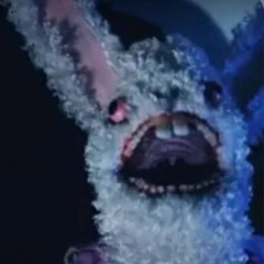 Rabbit Void/2025-4-18/Czechia - experimental festival