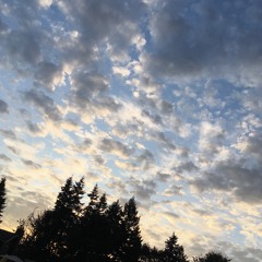 sunset junction