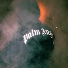 Palm Angeles!!!