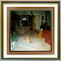 WM🐶#1059🐩💅🏽👄👅🦮👁️🦦👛🐕🐺🐕‍🦺🦊