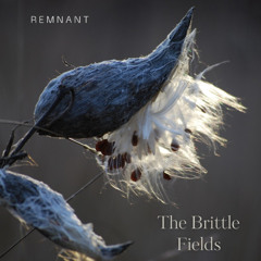 The Brittle Fields